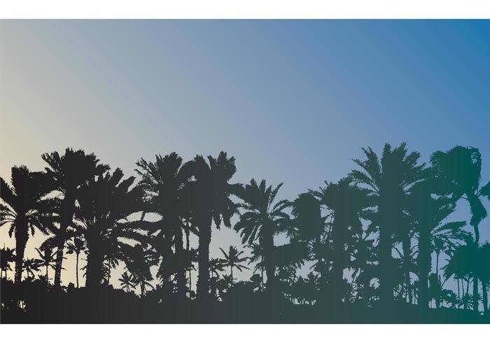 Free Palm Trees Vector