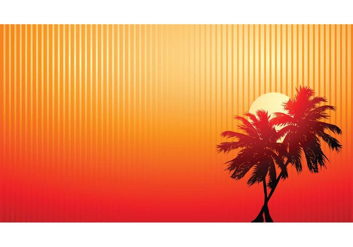 Palm Trees Sunset Palm Trees Sunset