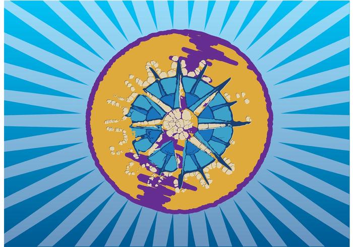 Compass Graphics Compass Graphics