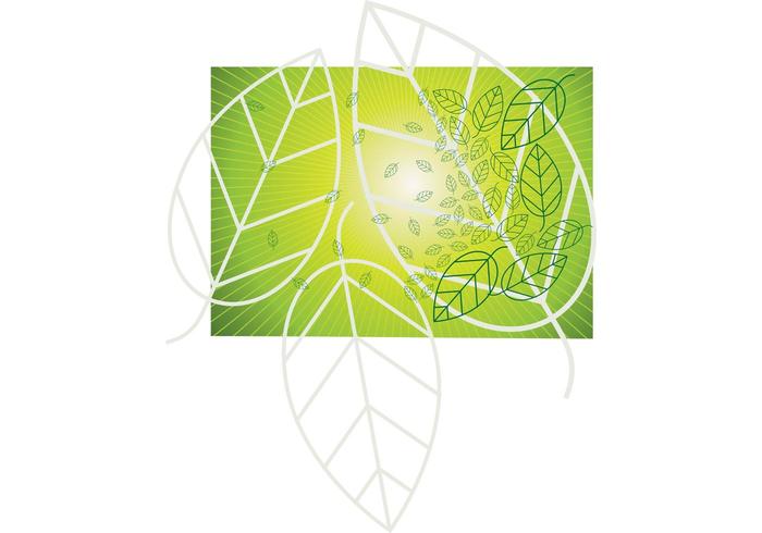 Leaf Vector Graphics Leaf Vector Graphics