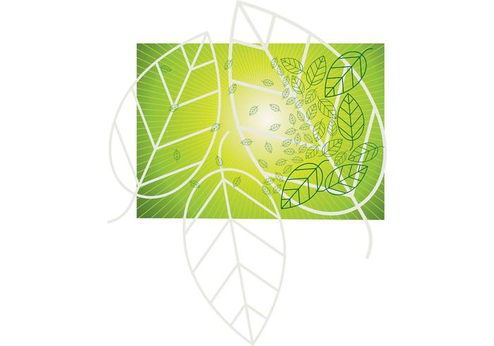 Leaf Vector Graphics