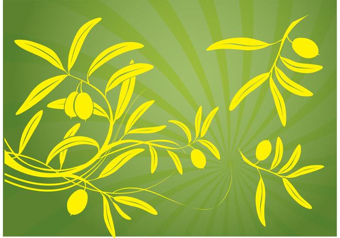 Olive Branch Vector Olive Branch Vector