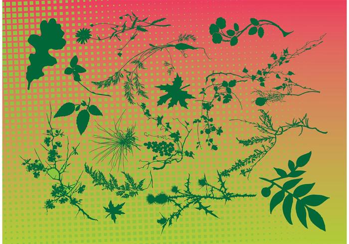 Free Leaf Vectors Free Leaf Vectors