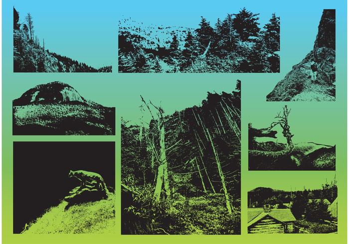 Adventure Vectors Adventure Vectors