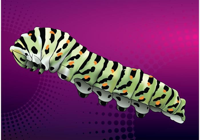 Caterpillar Vector Caterpillar Vector