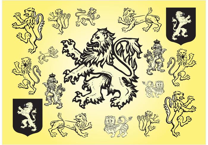 Lion Vectors Lion Vectors