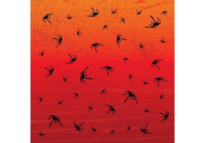 Spiders Patterns Spiders Patterns