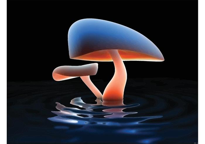 Mushrooms Mushrooms