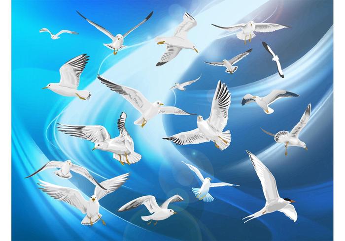 Birds Free Birds Free