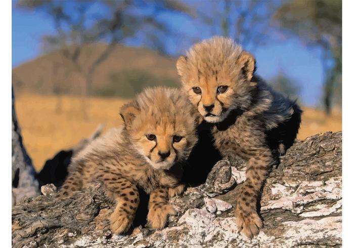 Cheetah Babies Cheetah Babies