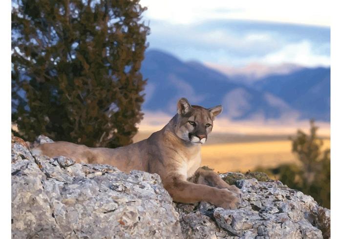 Lying Cougar Lying Cougar
