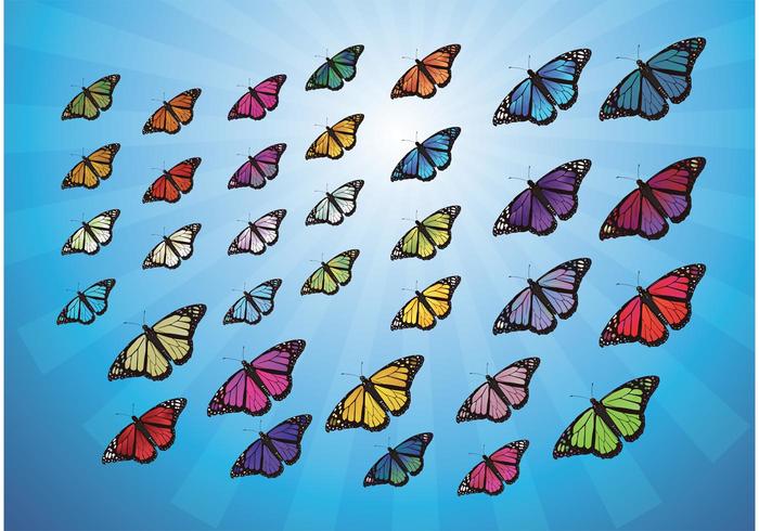 Colorful Butterflies Colorful Butterflies