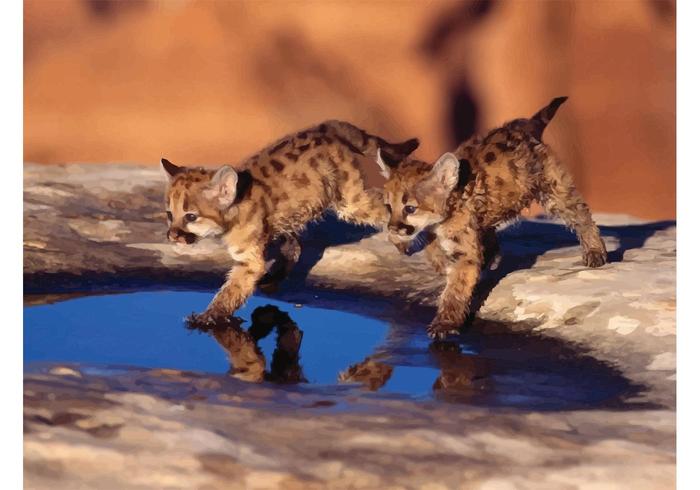 Playing Cubs Playing Cubs