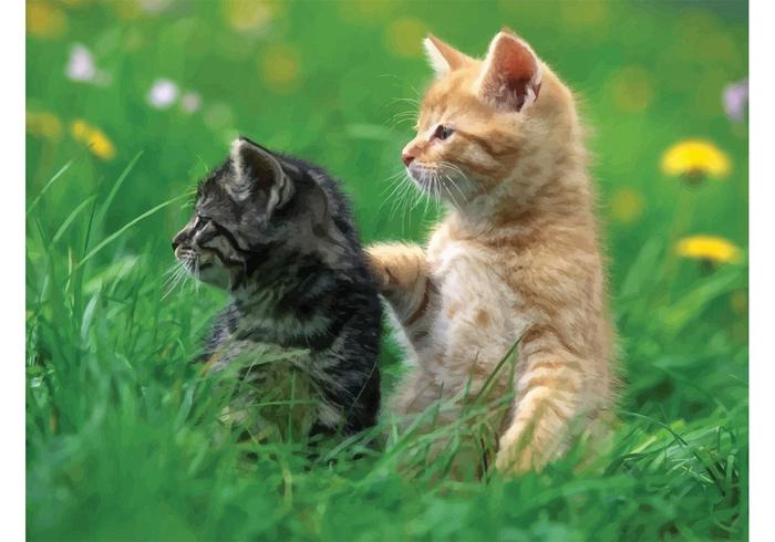 Playing Kittens Playing Kittens