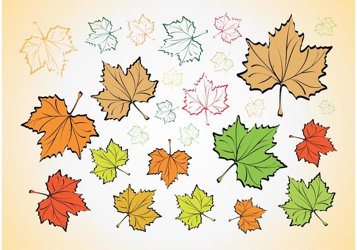 Leaves Vectors Leaves Vectors