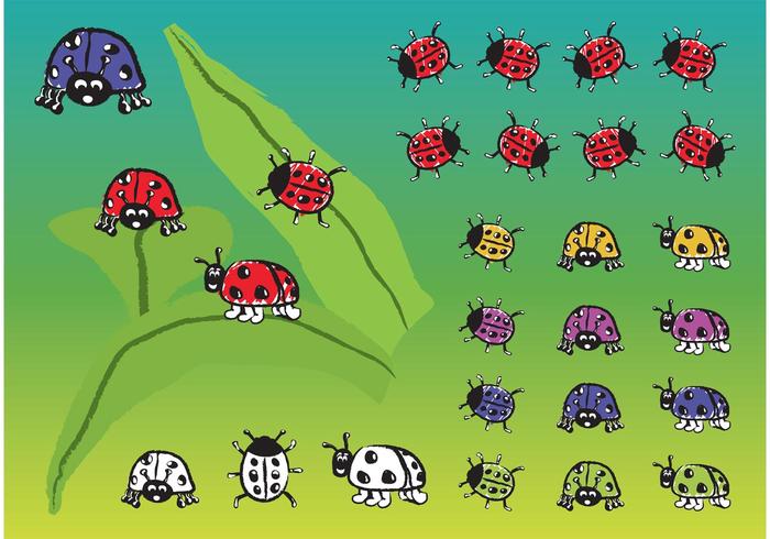Ladybugs Ladybugs