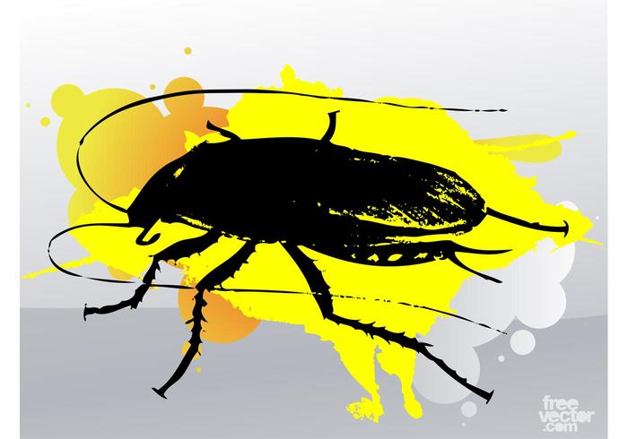 Cockroach Cockroach