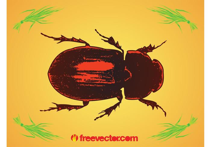 Beetle Beetle