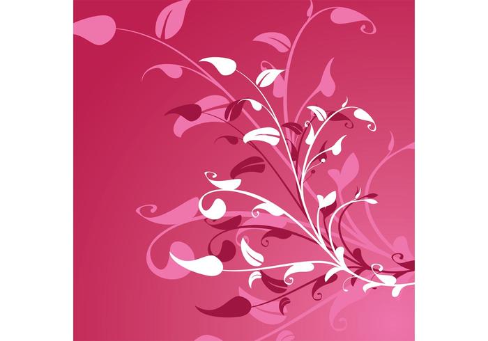 Pink Plants Pink Plants