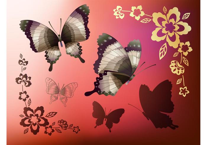 Flowers Butterflies Flowers Butterflies