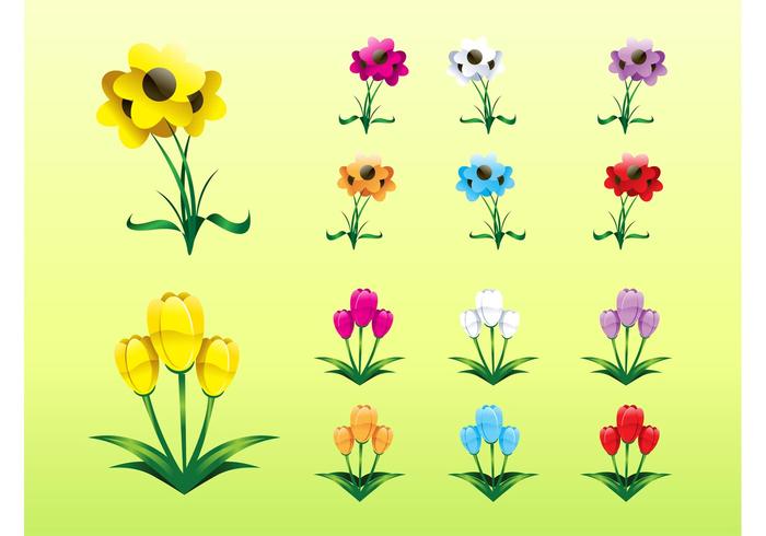 Colorful Flower Collection Colorful Flower Collection