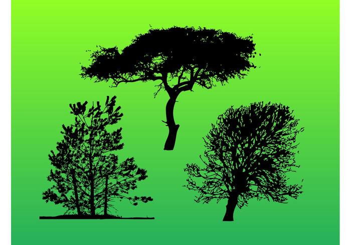 Trees Trace Trees Trace