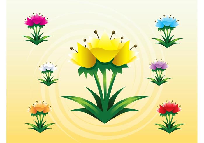 Tulips Vectors Tulips Vectors