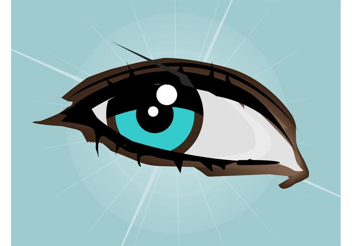 Eye Vector Illustration Eye Vector Illustration