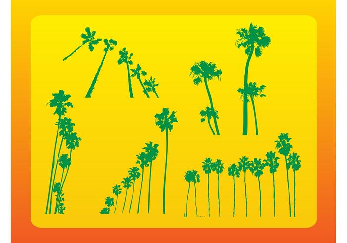 Palm Trees Vectors