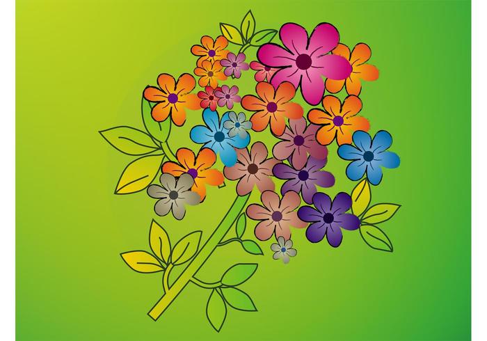 Flower Bouquet Flower Bouquet