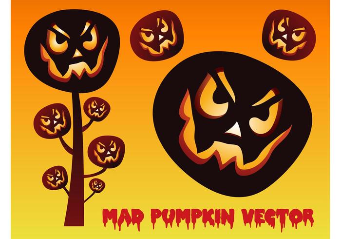 Pumpkin Vectors Pumpkin Vectors