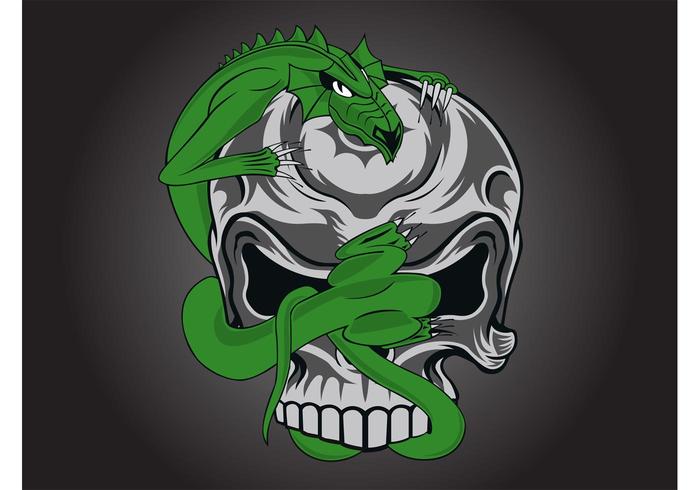 Skull Dragon Graphic Skull Dragon Graphic