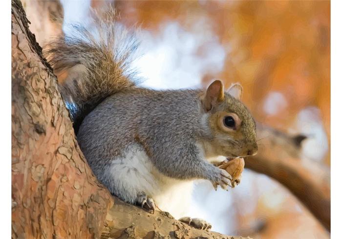 Eating Squirrel Eating Squirrel