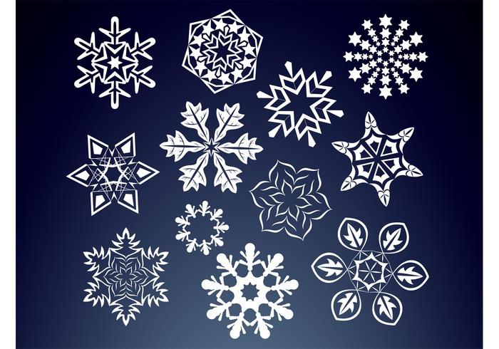 Floral Snow Flakes Floral Snow Flakes