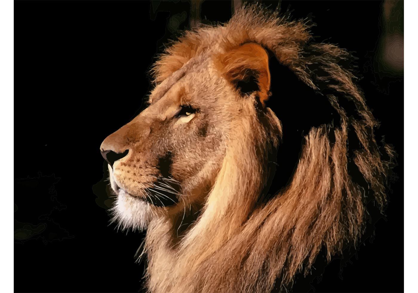 Lion Head Wallpaper - Download Free Vector Art, Stock Graphics & Images