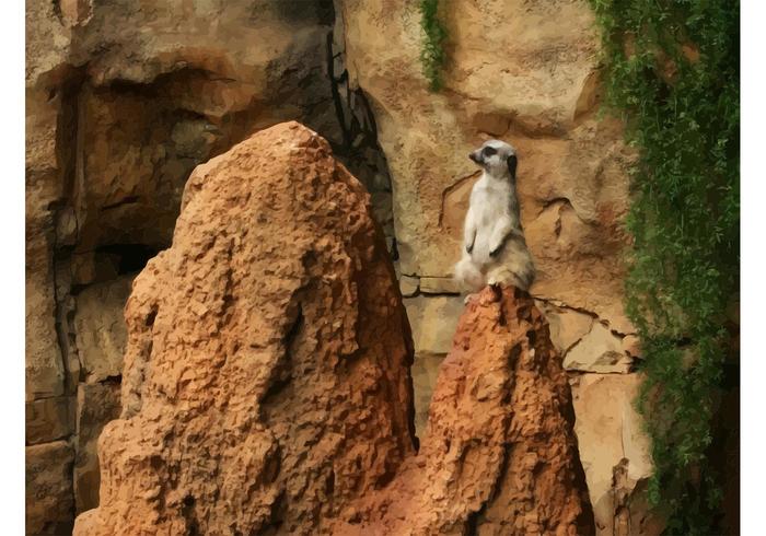Meerkat Vector Meerkat Vector