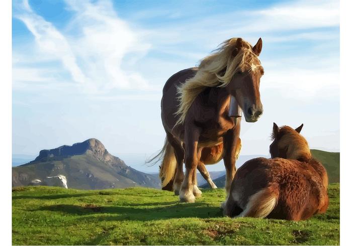 Mountain Horses