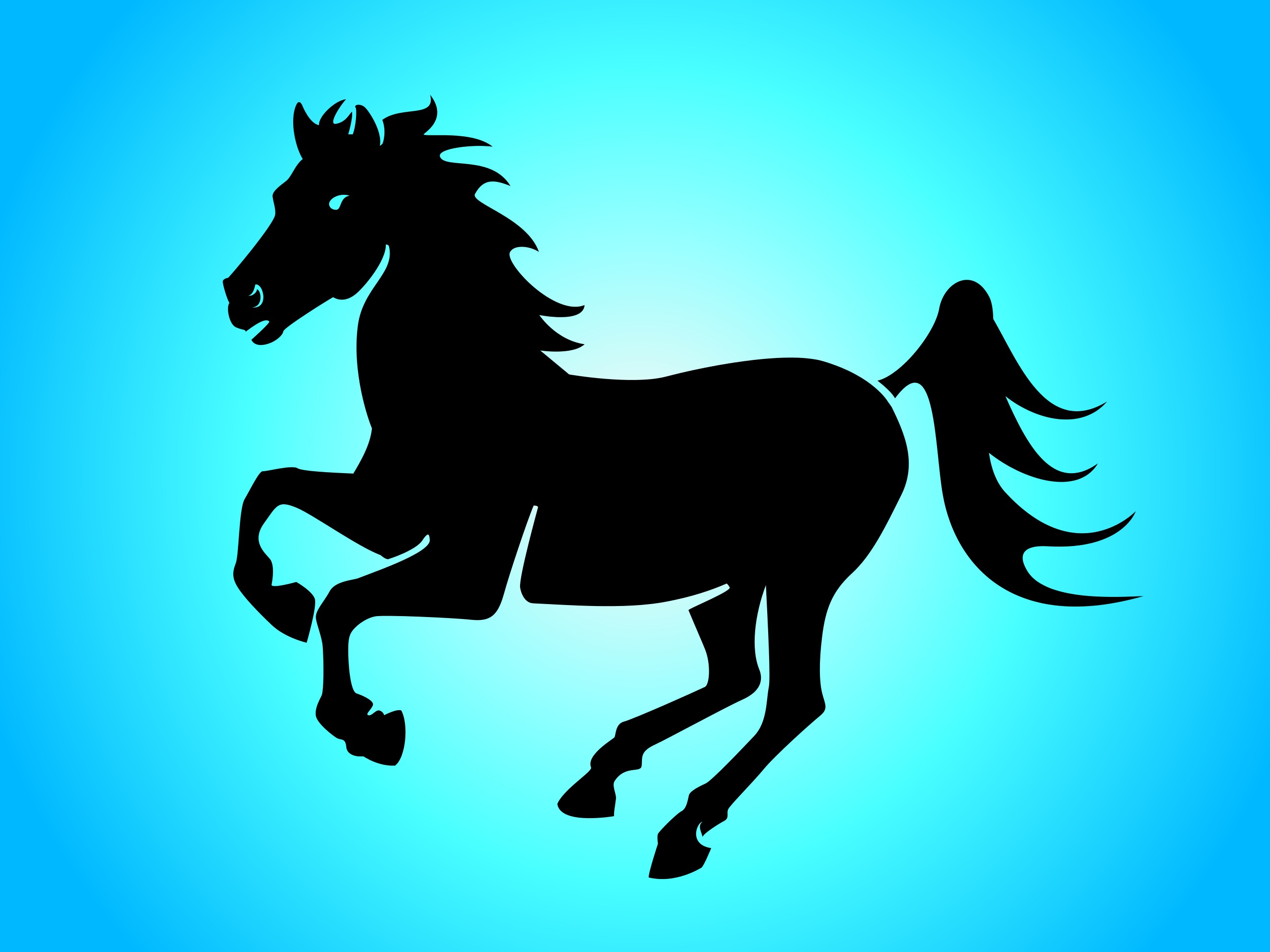 Simple Horse Graphic Download Free Vector Art, Stock
