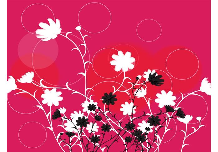 Flowers Circles Design Flowers Circles Design