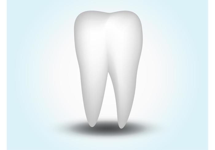 Vector Tooth Vector Tooth