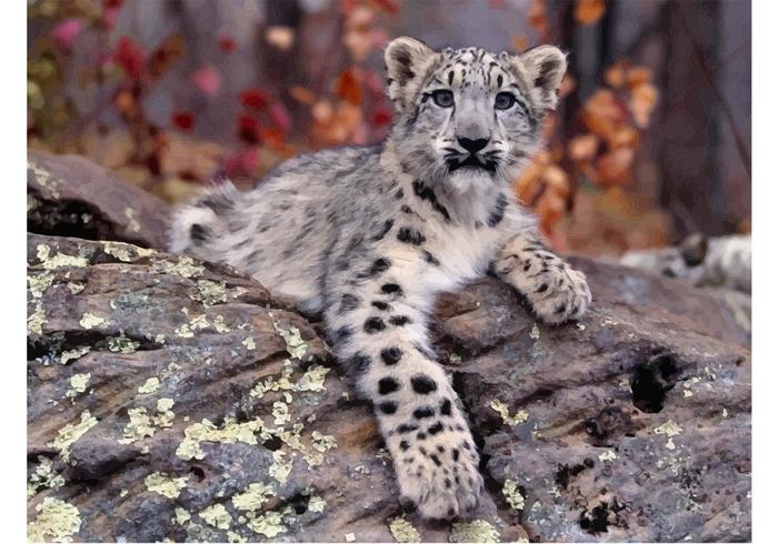 Free Free Snow Leopard Svg 577 SVG PNG EPS DXF File