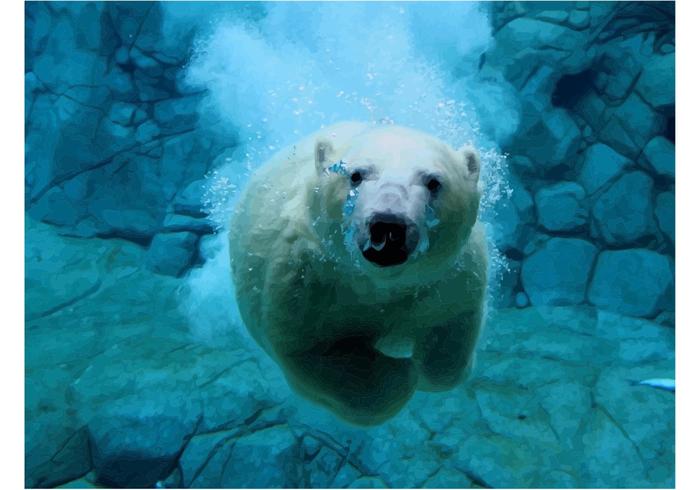 Polar Bear Vector Image Polar Bear Vector Image