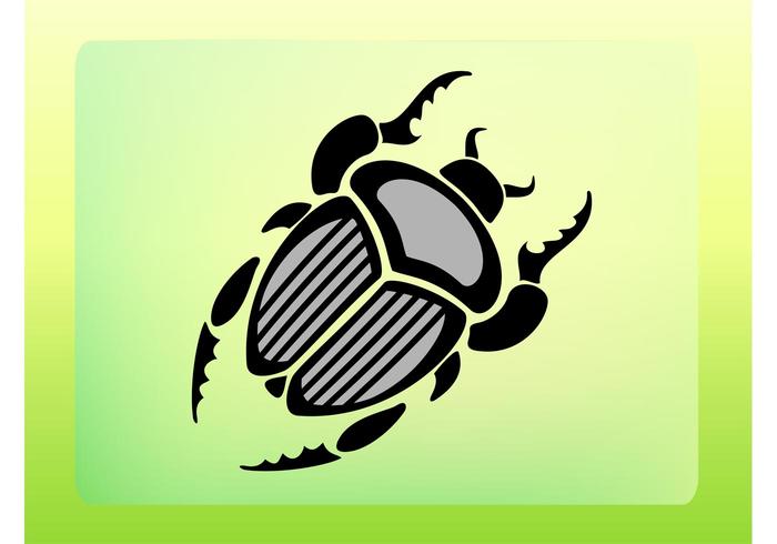 Scarab Vector Scarab Vector