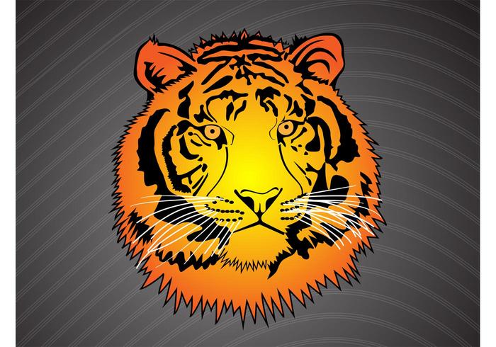 Tiger Head Vector Tiger Head Vector