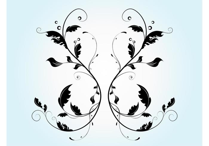 Vector Flourish Graphics Vector Flourish Graphics