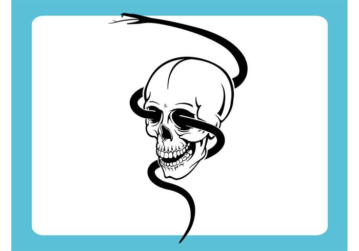 Skull With Snake Vector Skull With Snake Vector