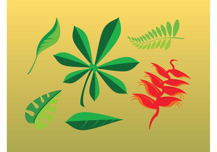 Leaves Cartoons Leaves Cartoons