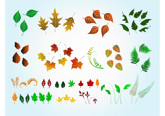 Vector Leaves Graphics Vector Leaves Graphics