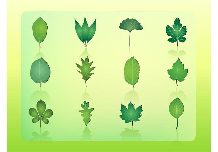 Free Leaf Vector Icons Free Leaf Vector Icons