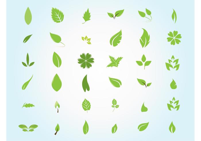 Garden Leaves Garden Leaves